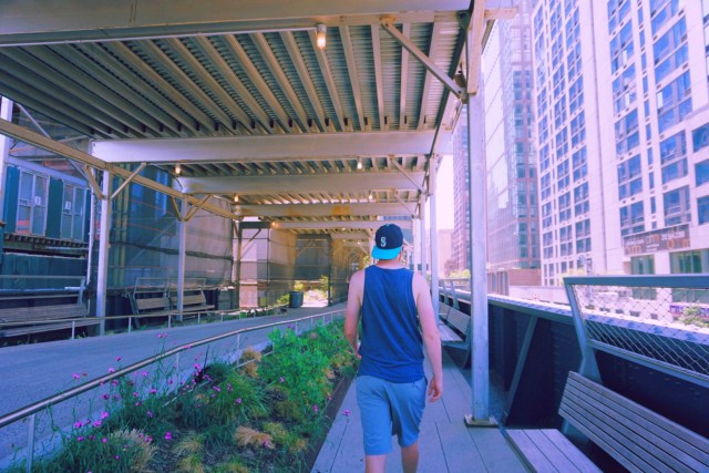 High Line New York Guide Blog